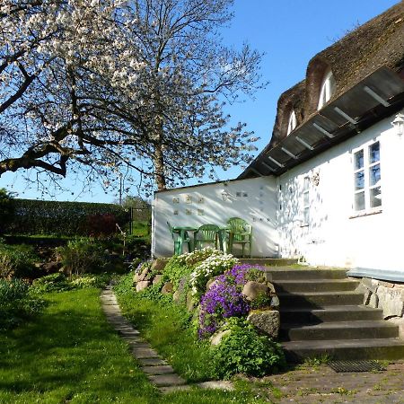 Ferienwohungen im Feriengarten Nardevitz Exterior foto