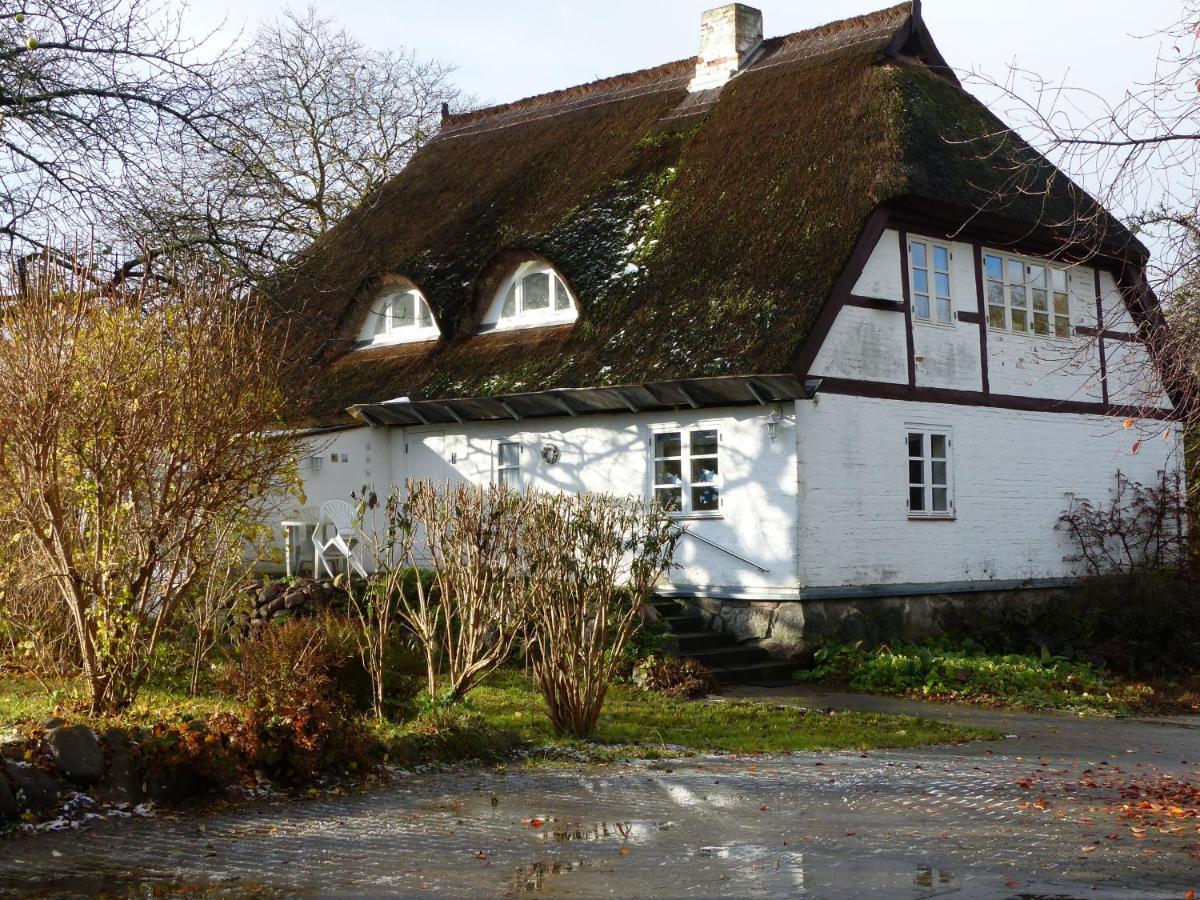 Ferienwohungen im Feriengarten Nardevitz Exterior foto