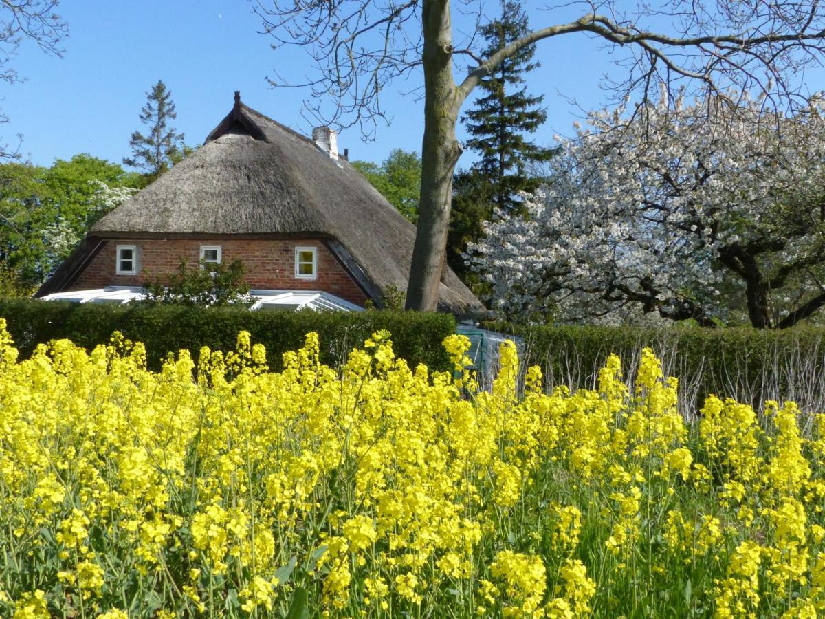 Ferienwohungen im Feriengarten Nardevitz Exterior foto
