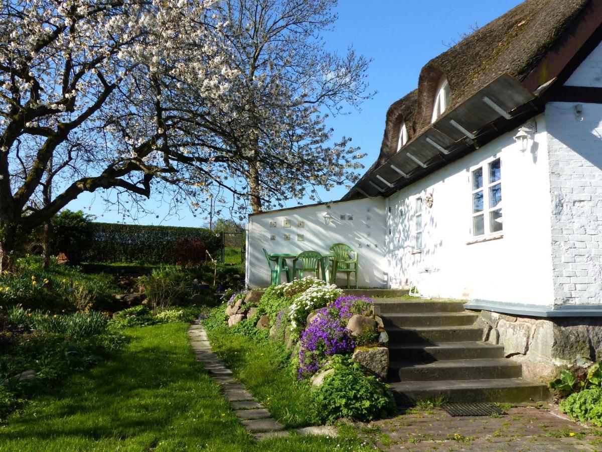 Ferienwohungen im Feriengarten Nardevitz Exterior foto