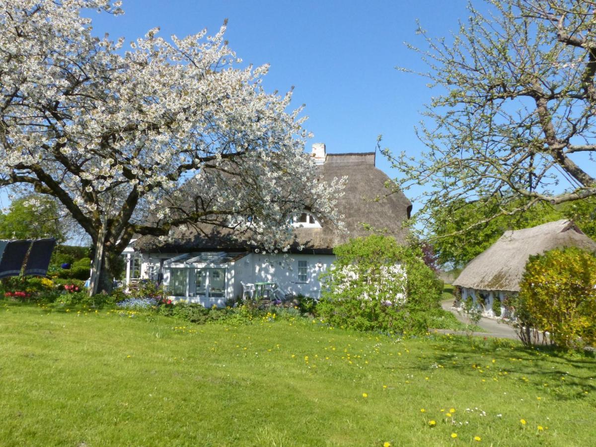 Ferienwohungen im Feriengarten Nardevitz Exterior foto